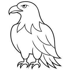  Eagle line art vector illustration