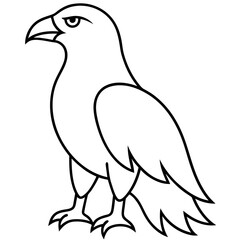  Eagle line art vector illustration