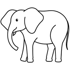 elephant illustration