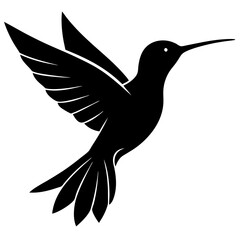 Hummingbird silhouette vector illustration