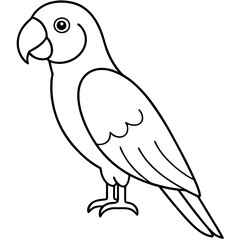Parrot line art vector illustration 