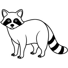  Raccoon line art vector illustration