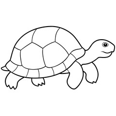 Tortoise line art vector illustration 