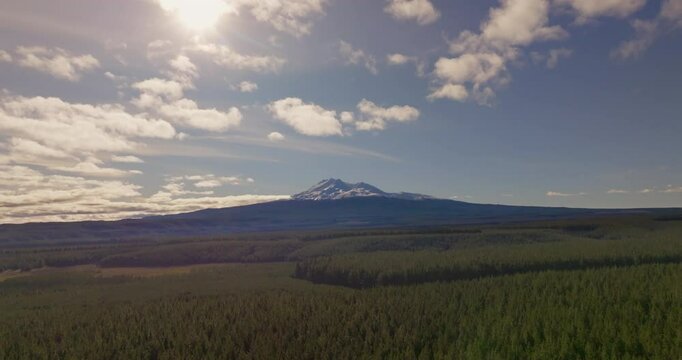 Flying away from Mount Ruapehu over a pine forest, Central North Island, New Zealand.