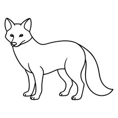  Bactrian camel line art vector illustration 