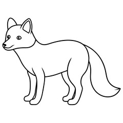 Arctic fox line art vector illustration