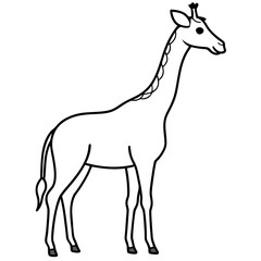 giraffe cartoon isolated on white