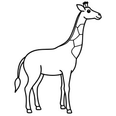giraffe vector illustration