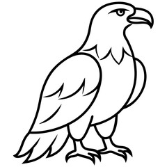 Golden eagle line art vector illustration