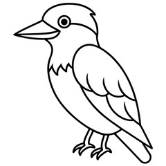 Kookaburra line art vector illustration