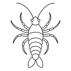 Mantis shrimp line art vector illustration