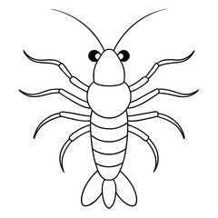  Mantis shrimp line art vector illustration 