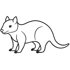 Tasmanian devil line art vector illustration 