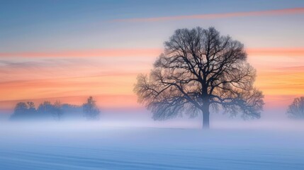 Fototapeta premium Serene Winter Landscape with Majestic Tree at Dusk