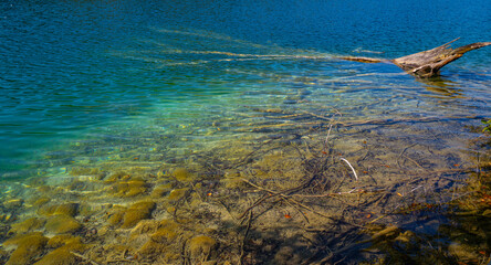Lake water surface. The tranquil transparent waters of lake in the background. Beautiful nature. Landscape Reflection off of a clear lake water surface on a bright sunny day. Calm lake in forest.