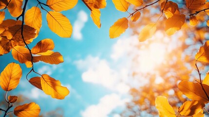 Vibrant Autumn Leaves Against Blue Sky