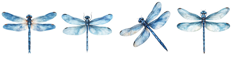 Stunning close up shot of a beautiful dragonfly in flight showcasing its delicate transparent wings and captivating blue hues  The dragonfly appears to be gracefully soaring through the air