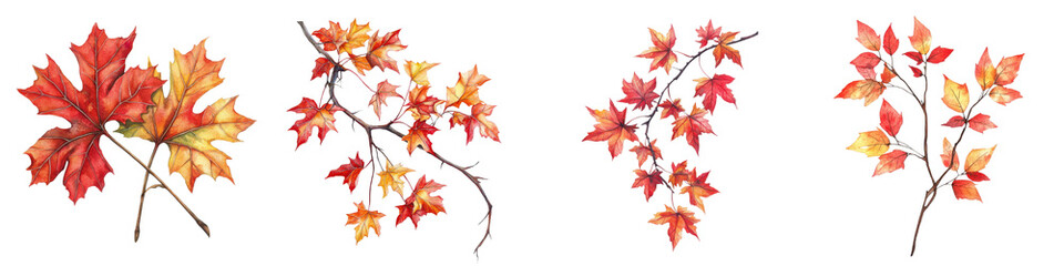 Fototapeta premium Vibrant and Colorful Autumn Leaves and Branches with Warm Fall Foliage Background Seasonal Nature Scenery with Red Orange and Yellow Tones