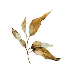 Fototapeta premium Foliage autumn watercolor branch isolated on white background for decoration, invitation or greeting cards, floral design.