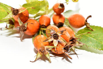 Orange rose hips with leaves on a white background.