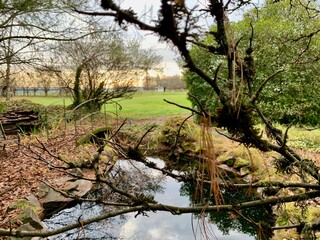 A picturesque landscape in Scappoose, Oregon, featuring lush greenery, a tranquil river, and rustic wooden structures. The serene atmosphere captures this charming town's essence.