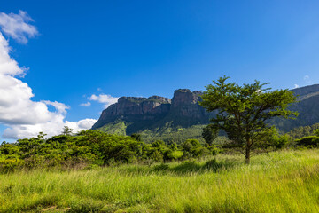 Green grass and blue sky at the mountain