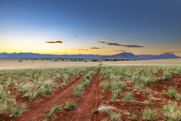 Dirt tracks on wet sand after the rain