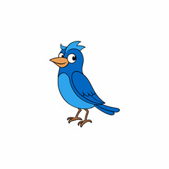 Western bluebird cartoon art vector illustration