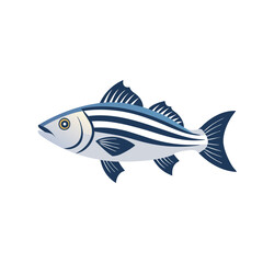  Striped bass bass pike animal isolated flat vector illustration on white background.