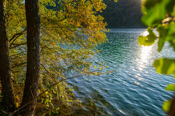 Idyllic panorama of spring summer nature. The tranquil transparent waters of lake in the background. Beautiful nature lake. Landscape Reflection in clear lake water surface. Calm river in the forest.