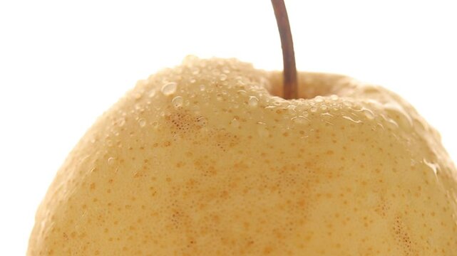 Close up of asian pears fruit with water drops rotating
