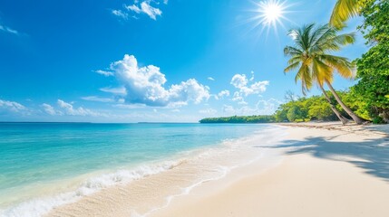 Fototapeta premium Tropical Beach with Palm Trees and Blue Sky