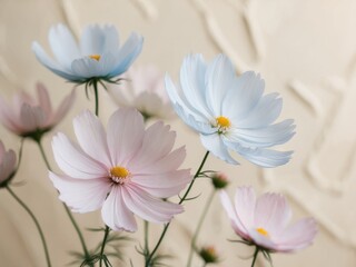 Soft and Serene Watercolor Cosmos Flowers on Cream Background.