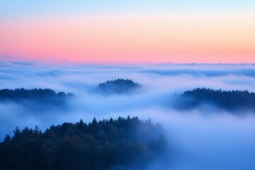 Fototapeta premium White Thick Fog Background in Nature