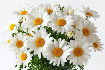 Fototapeta premium A Bouquet of White Daisies Isolated On White Background