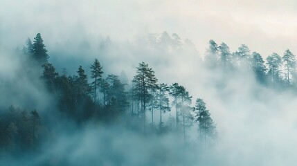 Misty Forest Landscape in Soft Light