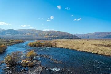 River in the mountains, nature landscapes