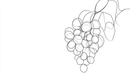 A simple, continuous line drawing of grapes, representing a fresh, healthy snack. The minimalist design highlights the natural and organic aspects of the fruit.continuous single one line art concept.