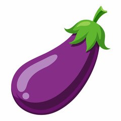 Brinjal vector art 
