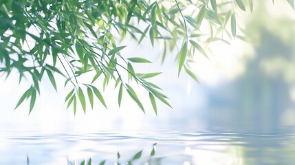 Obraz premium Serene Bamboo Leaves Over Calm Water Surface