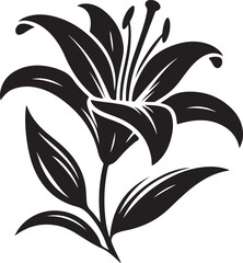 Flower vector illustration design and silhouette