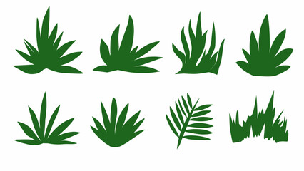 set of green plant leaves abstract shapes vector illustration handrawn isolated on white background