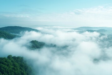 Obraz premium White Thick Fog Background in Nature