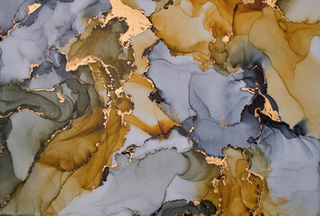 Swirls of color and veins of metallic gold form a flowing, abstract design, sense of movement and transformation. Fluid art, organic shapes and liquid ink textures, create of luxury and natural beauty
