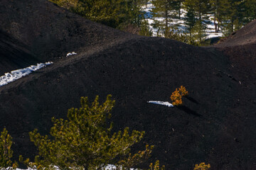 Detail of volcanic landscape of Mount Etna at Monti Sartorius with black lava and orange colored...