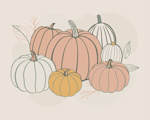 Pumpkins and squashes for autumn. illustration of a pumpkin. illustration of pumpkins. Adobe vector stock. EPS 10. 
