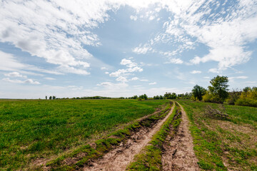 Obraz premium Dirt road in the field at dawn
