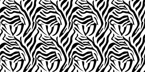 Zebra seamless pattern with bold, striped designs. Background seamless pattern.
