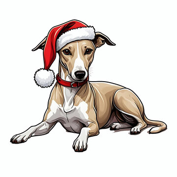 recommend clip art: Whippet dog lying down wearing a red and white santa hat and red collar illustration, dog xmas christmas clip art design