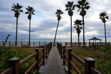 autumn sea with seaside walkway